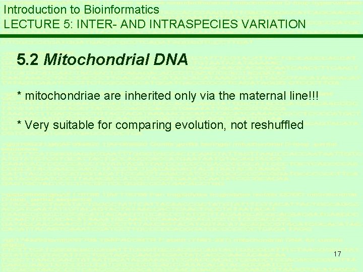 Introduction to Bioinformatics LECTURE 5: INTER- AND INTRASPECIES VARIATION 5. 2 Mitochondrial DNA *