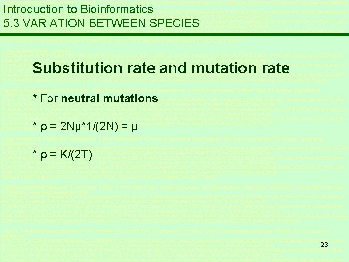 Introduction to Bioinformatics 5. 3 VARIATION BETWEEN SPECIES Substitution rate and mutation rate *