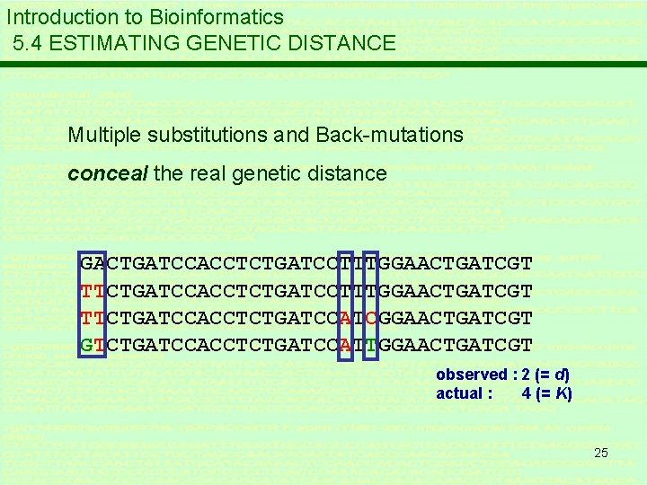 Introduction to Bioinformatics 5. 4 ESTIMATING GENETIC DISTANCE Multiple substitutions and Back-mutations conceal the