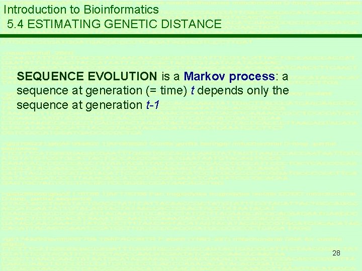 Introduction to Bioinformatics 5. 4 ESTIMATING GENETIC DISTANCE SEQUENCE EVOLUTION is a Markov process: