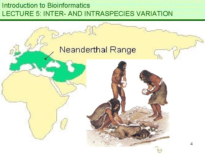 Introduction to Bioinformatics LECTURE 5: INTER- AND INTRASPECIES VARIATION 4 