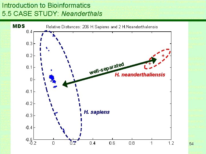 Introduction to Bioinformatics 5. 5 CASE STUDY: Neanderthals MDS ated r a p se