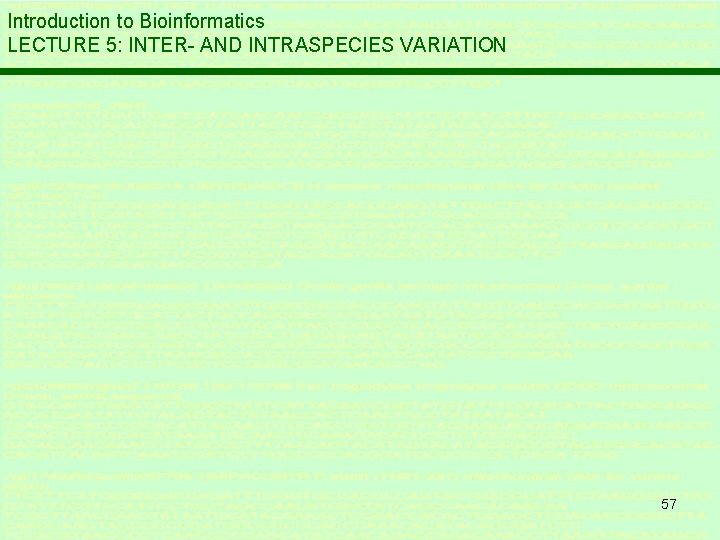 Introduction to Bioinformatics LECTURE 5: INTER- AND INTRASPECIES VARIATION 57 