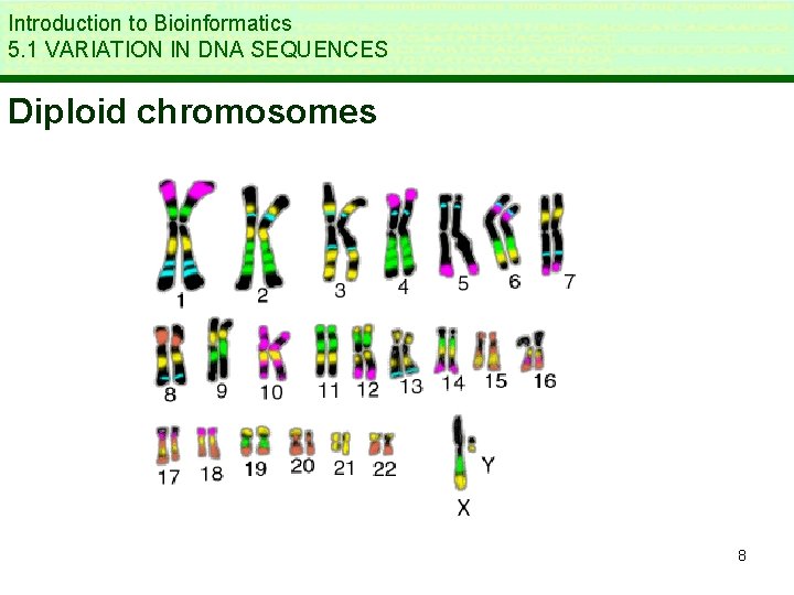 Introduction to Bioinformatics 5. 1 VARIATION IN DNA SEQUENCES Diploid chromosomes 8 