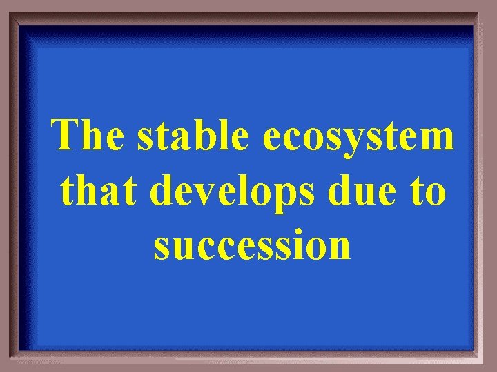 The stable ecosystem that develops due to succession 