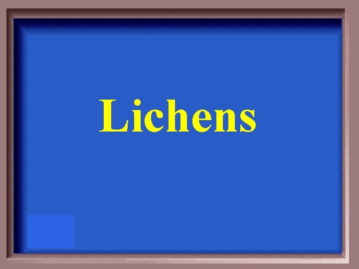 Lichens 