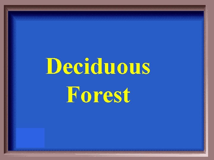 Deciduous Forest 