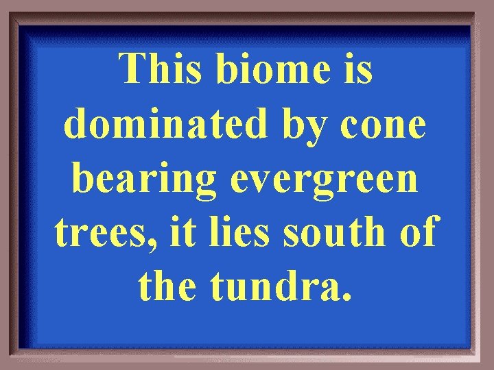 This biome is dominated by cone bearing evergreen trees, it lies south of the