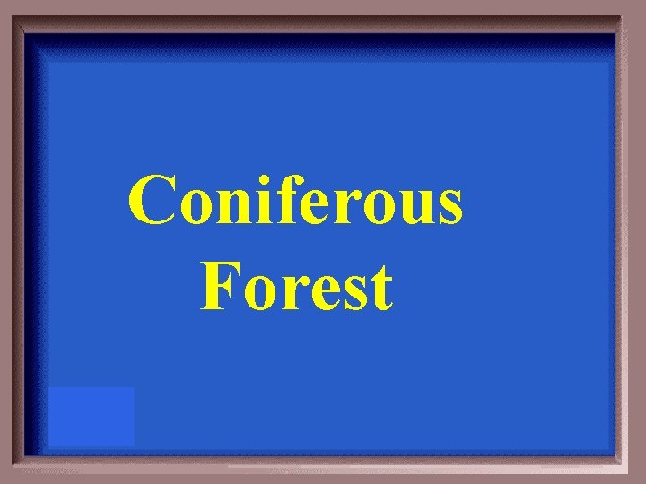 Coniferous Forest 