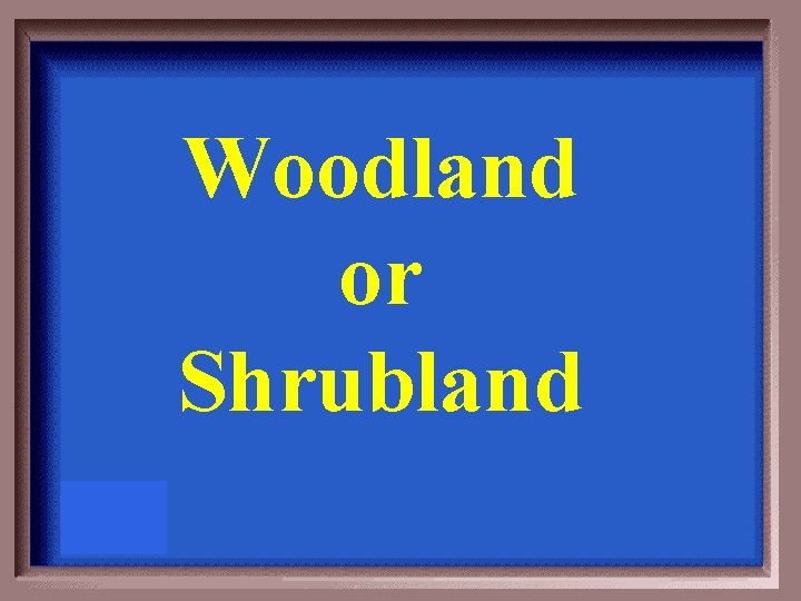 Woodland or Shrubland 