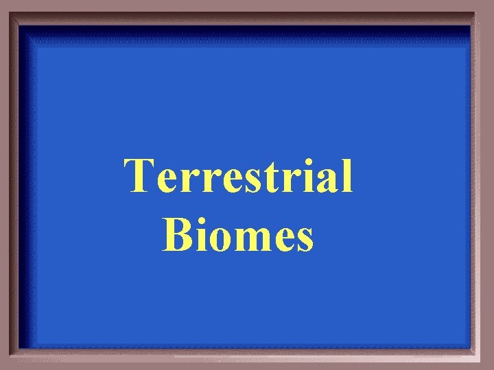 Terrestrial Biomes 