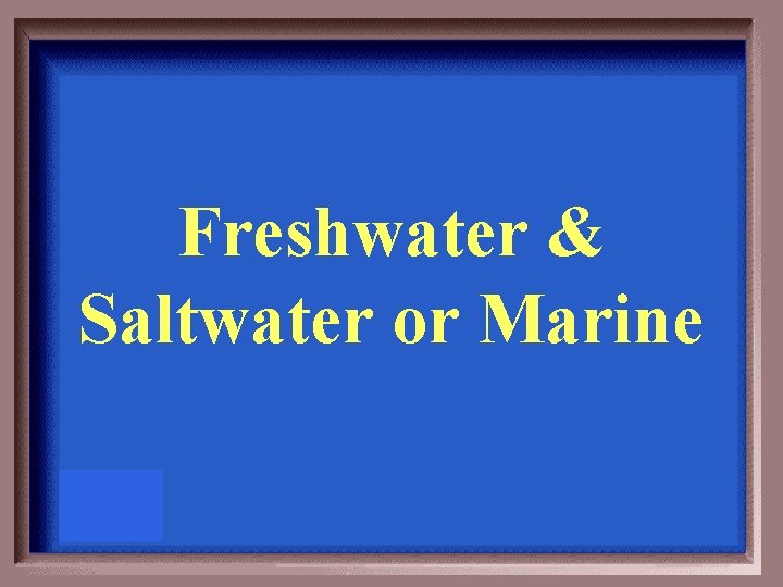 Freshwater & Saltwater or Marine 