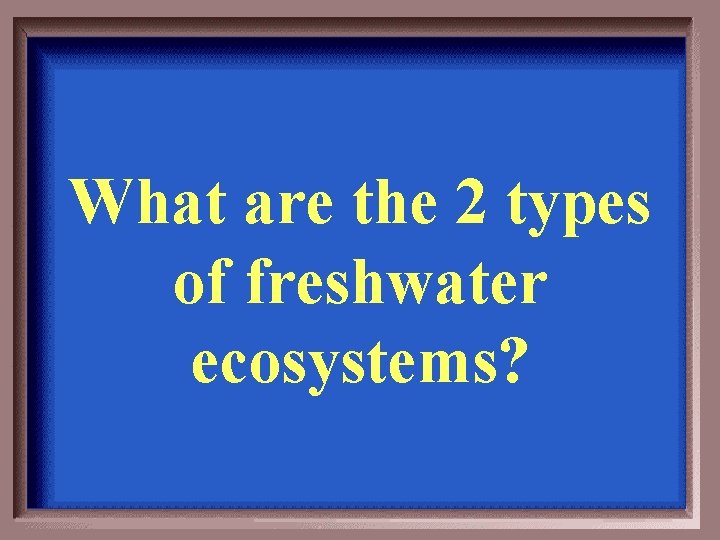 What are the 2 types of freshwater ecosystems? 