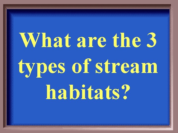 What are the 3 types of stream habitats? 