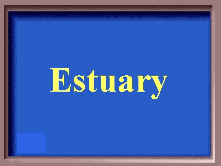 Estuary 