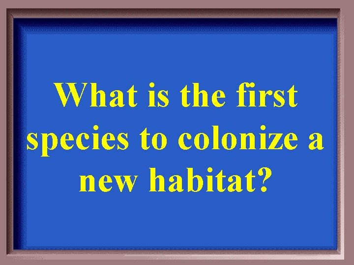 What is the first species to colonize a new habitat? 