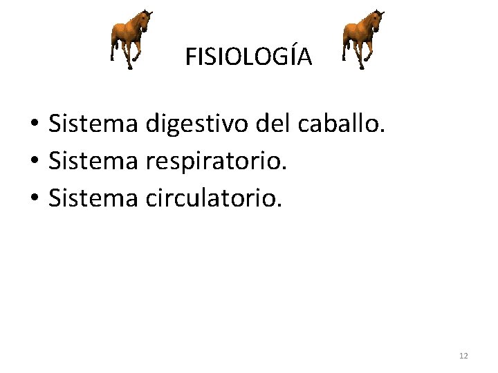 FISIOLOGÍA • Sistema digestivo del caballo. • Sistema respiratorio. • Sistema circulatorio. 12 