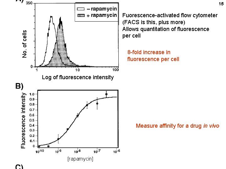 15 No. of cells Fuorescence-activated flow cytometer (FACS is this, plus more) Allows quantitation