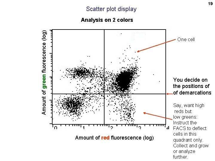 19 Scatter plot display Amount of green fluorescence (log) Analysis on 2 colors One