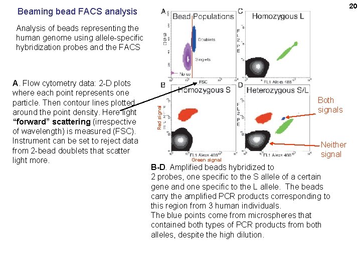 20 Beaming bead FACS analysis Analysis of beads representing the human genome using allele-specific