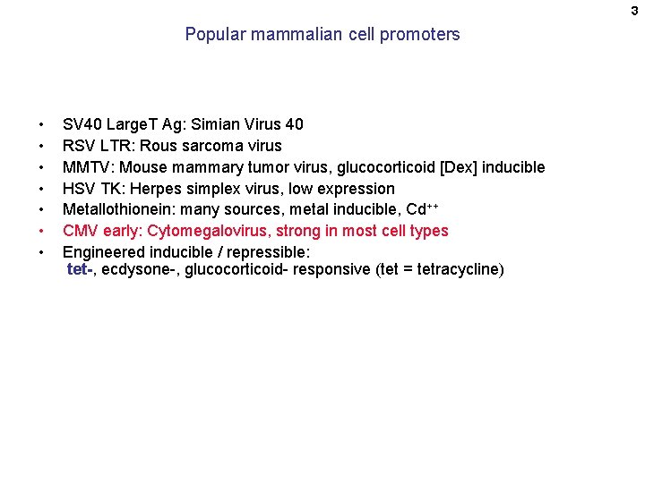 3 Popular mammalian cell promoters • • SV 40 Large. T Ag: Simian Virus
