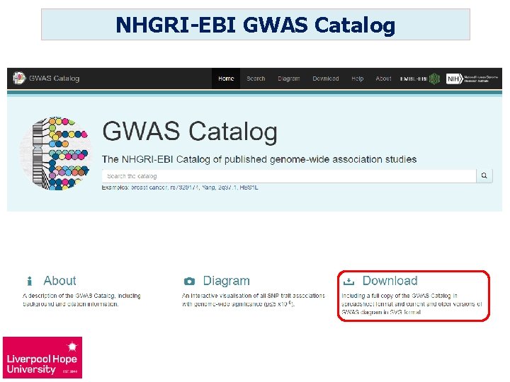 NHGRI-EBI GWAS Catalog 