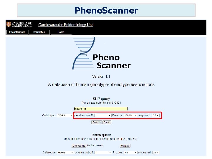 Pheno. Scanner 