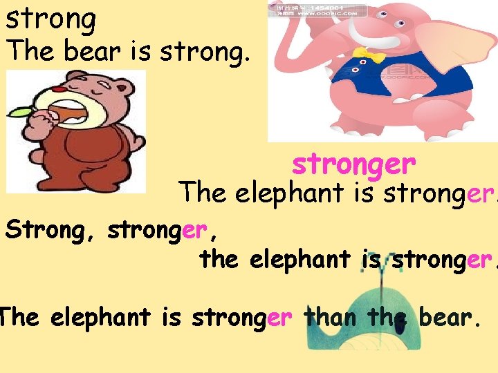 strong The bear is stronger The elephant is stronger. Strong, stronger, the elephant is