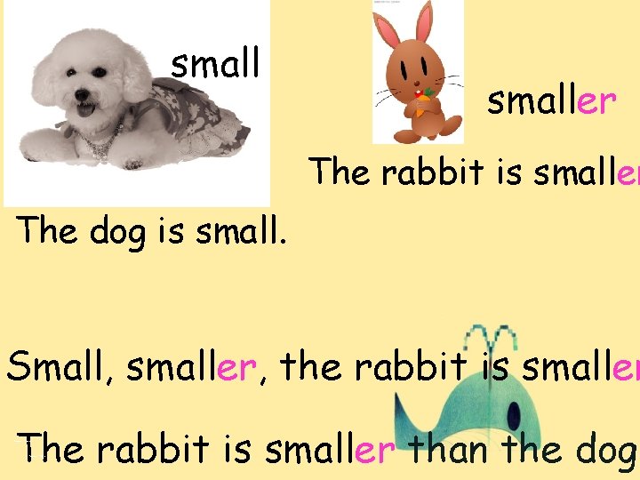 smaller The rabbit is smaller The dog is small. Small, smaller, the rabbit is