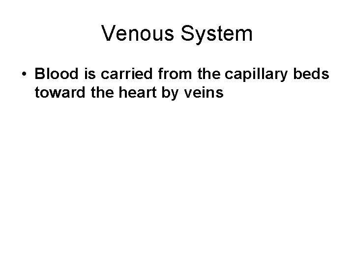 Venous System • Blood is carried from the capillary beds toward the heart by