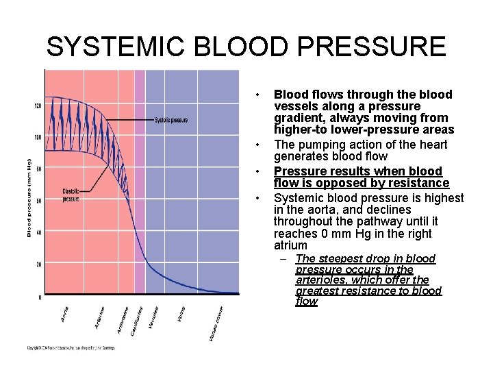 SYSTEMIC BLOOD PRESSURE • • Blood flows through the blood vessels along a pressure