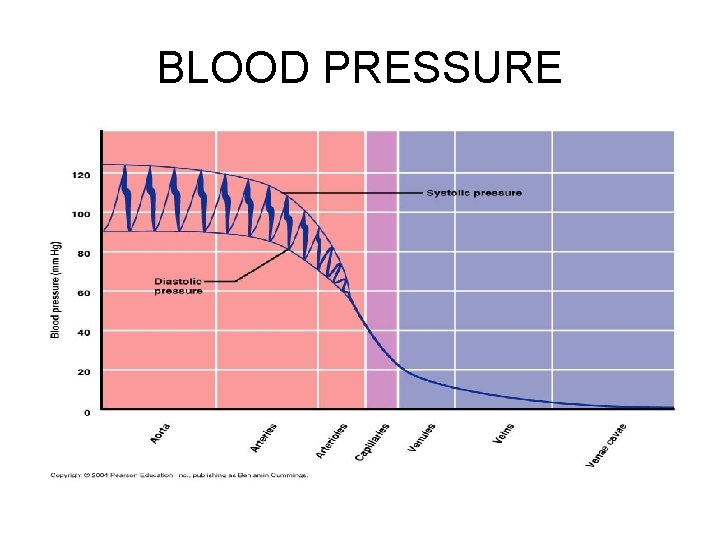 BLOOD PRESSURE 