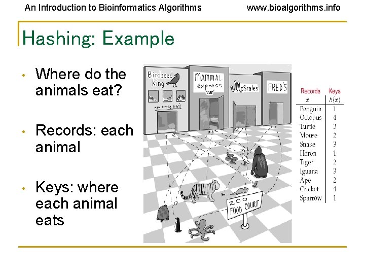 An Introduction to Bioinformatics Algorithms Hashing: Example • Where do the animals eat? •