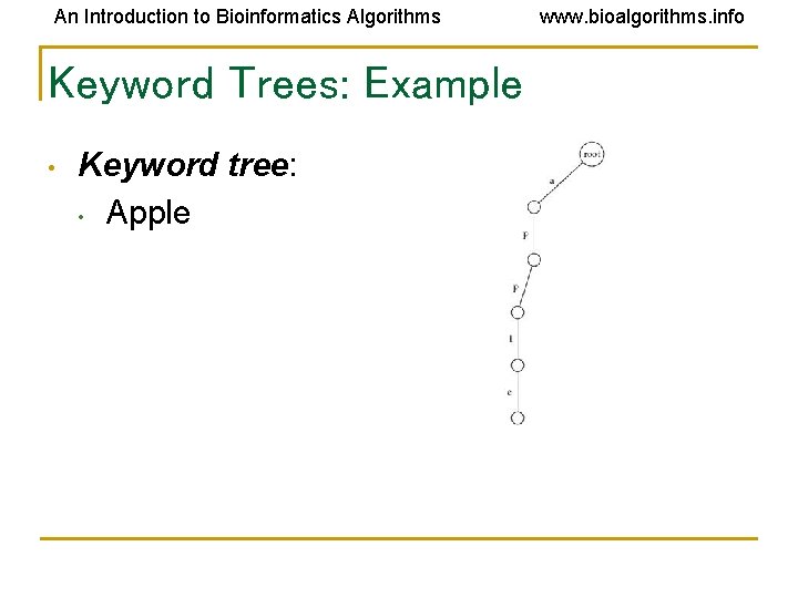 An Introduction to Bioinformatics Algorithms Keyword Trees: Example • Keyword tree: • Apple www. An Introduction to Bioinformatics Algorithms Keyword Trees: Example • Keyword tree: • Apple www.