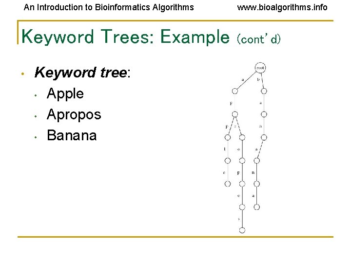 An Introduction to Bioinformatics Algorithms Keyword Trees: Example • Keyword tree: • Apple • An Introduction to Bioinformatics Algorithms Keyword Trees: Example • Keyword tree: • Apple •