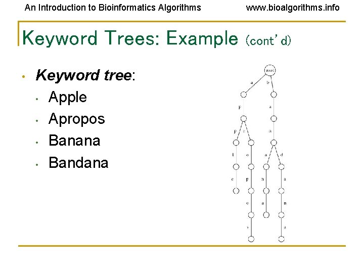 An Introduction to Bioinformatics Algorithms Keyword Trees: Example • Keyword tree: • Apple • An Introduction to Bioinformatics Algorithms Keyword Trees: Example • Keyword tree: • Apple •