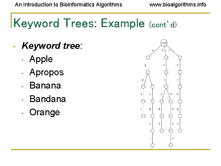 An Introduction to Bioinformatics Algorithms Keyword Trees: Example • Keyword tree: • Apple • An Introduction to Bioinformatics Algorithms Keyword Trees: Example • Keyword tree: • Apple •