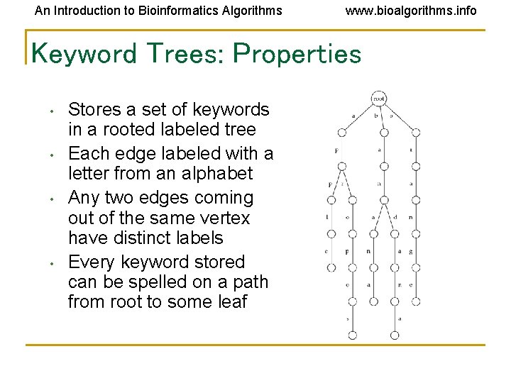 An Introduction to Bioinformatics Algorithms www. bioalgorithms. info Keyword Trees: Properties • • Stores