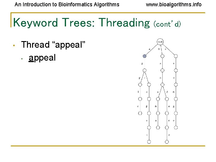 An Introduction to Bioinformatics Algorithms www. bioalgorithms. info Keyword Trees: Threading • Thread “appeal” An Introduction to Bioinformatics Algorithms www. bioalgorithms. info Keyword Trees: Threading • Thread “appeal”