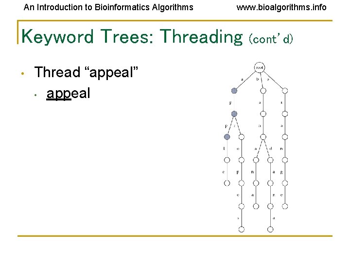 An Introduction to Bioinformatics Algorithms www. bioalgorithms. info Keyword Trees: Threading • Thread “appeal”