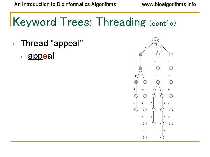 An Introduction to Bioinformatics Algorithms www. bioalgorithms. info Keyword Trees: Threading • Thread “appeal” An Introduction to Bioinformatics Algorithms www. bioalgorithms. info Keyword Trees: Threading • Thread “appeal”