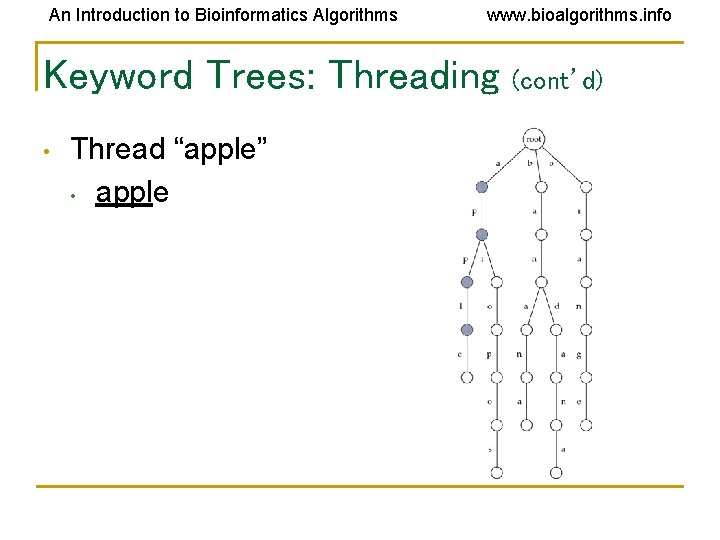 An Introduction to Bioinformatics Algorithms www. bioalgorithms. info Keyword Trees: Threading • Thread “apple”