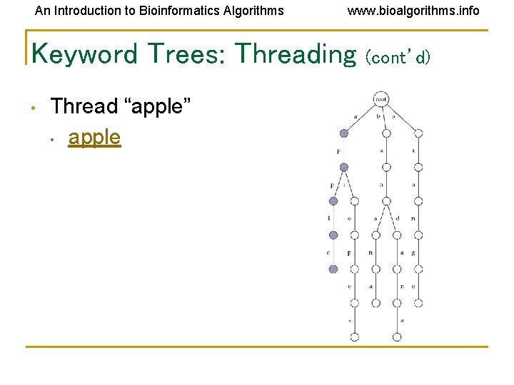 An Introduction to Bioinformatics Algorithms www. bioalgorithms. info Keyword Trees: Threading • Thread “apple” An Introduction to Bioinformatics Algorithms www. bioalgorithms. info Keyword Trees: Threading • Thread “apple”