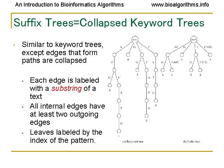 An Introduction to Bioinformatics Algorithms www. bioalgorithms. info Suffix Trees=Collapsed Keyword Trees • Similar