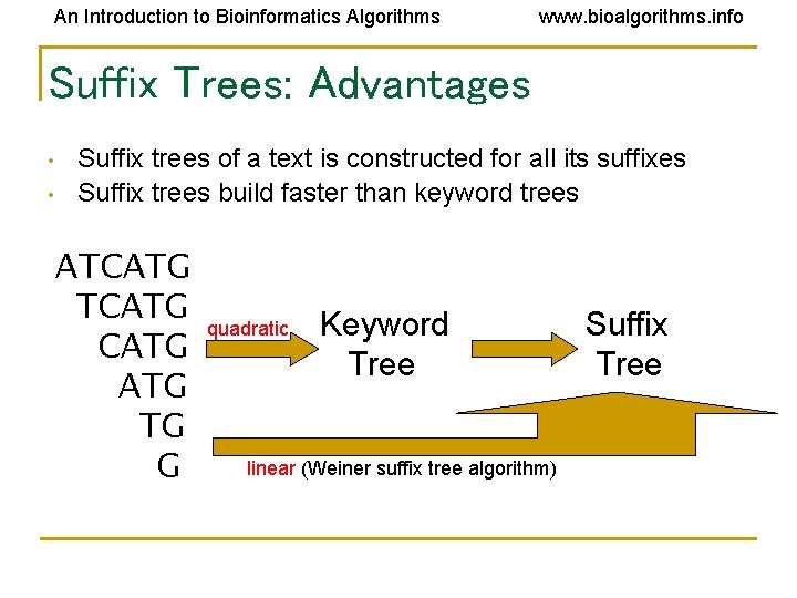 An Introduction to Bioinformatics Algorithms www. bioalgorithms. info Suffix Trees: Advantages • • Suffix