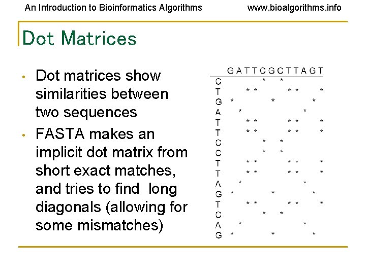 An Introduction to Bioinformatics Algorithms Dot Matrices • • Dot matrices show similarities between