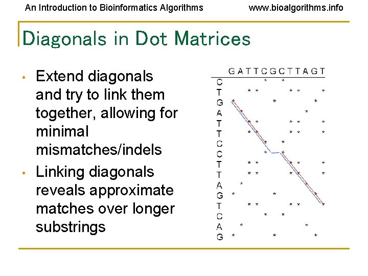 An Introduction to Bioinformatics Algorithms www. bioalgorithms. info Diagonals in Dot Matrices • • An Introduction to Bioinformatics Algorithms www. bioalgorithms. info Diagonals in Dot Matrices • •