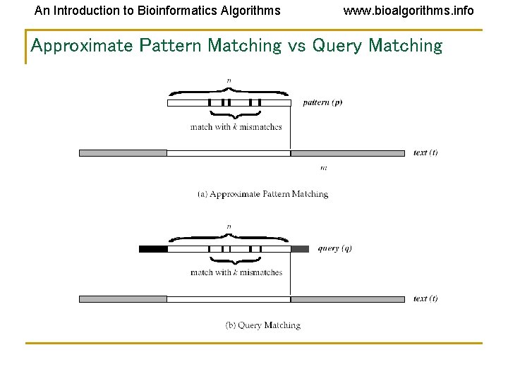 An Introduction to Bioinformatics Algorithms www. bioalgorithms. info Approximate Pattern Matching vs Query Matching An Introduction to Bioinformatics Algorithms www. bioalgorithms. info Approximate Pattern Matching vs Query Matching