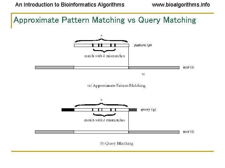 An Introduction to Bioinformatics Algorithms www. bioalgorithms. info Approximate Pattern Matching vs Query Matching