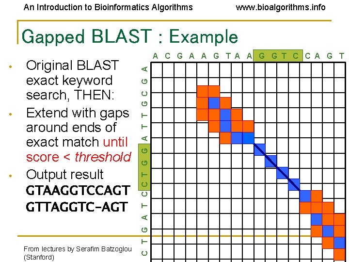 An Introduction to Bioinformatics Algorithms www. bioalgorithms. info Gapped BLAST : Example • • An Introduction to Bioinformatics Algorithms www. bioalgorithms. info Gapped BLAST : Example • •